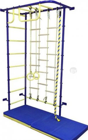 Детский спортивный комплекс ДСК "Пионер" 8Л с комбинированной лестницей синий-желтый
