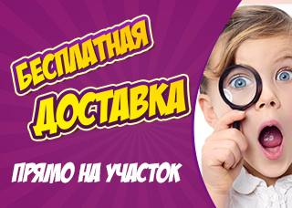 Бесплатная доставка