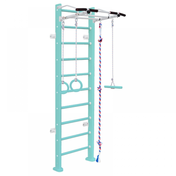 картинка Шведская стенка Карусель Adler (пристеночная) (color) от магазина Лазалка